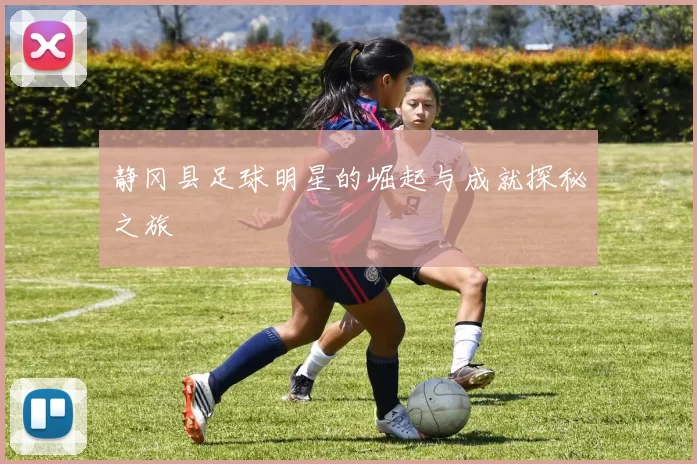 静冈县足球明星的崛起与成就探秘之旅