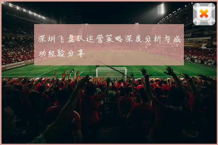 深圳飞盘队运营策略深度分析与成功经验分享