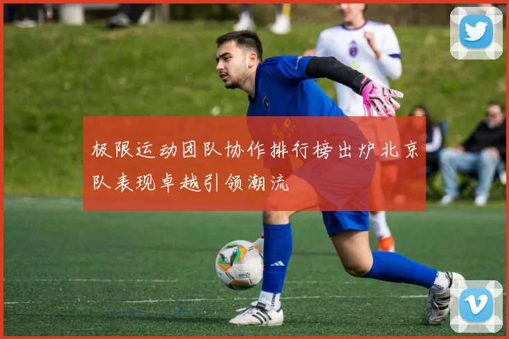 极限运动团队协作排行榜出炉北京队表现卓越引领潮流