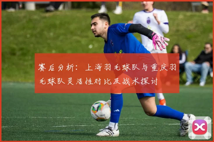 赛后分析：上海羽毛球队与重庆羽毛球队灵活性对比及战术探讨