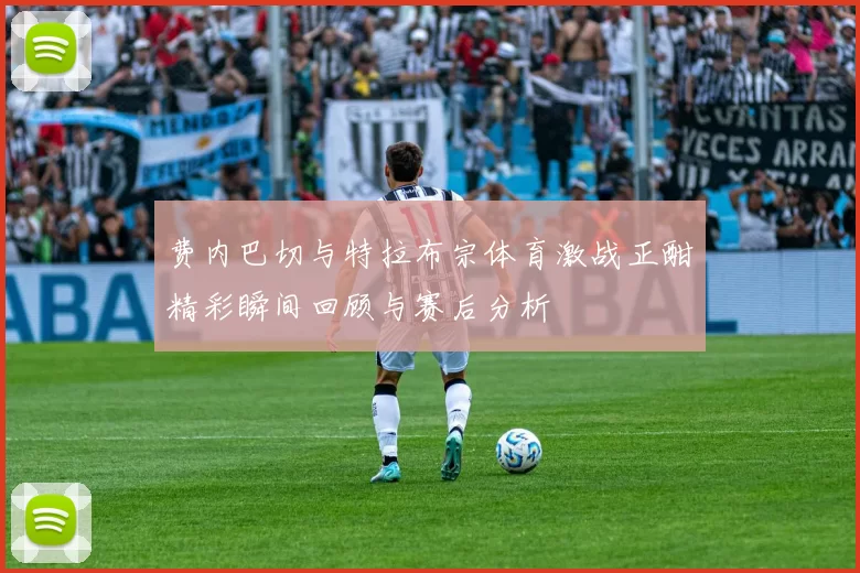 费内巴切与特拉布宗体育激战正酣精彩瞬间回顾与赛后分析