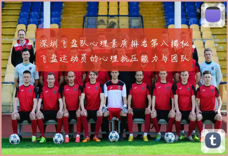 深圳飞盘队心理素质排名第八揭秘飞盘运动员的心理抗压能力与团队协作