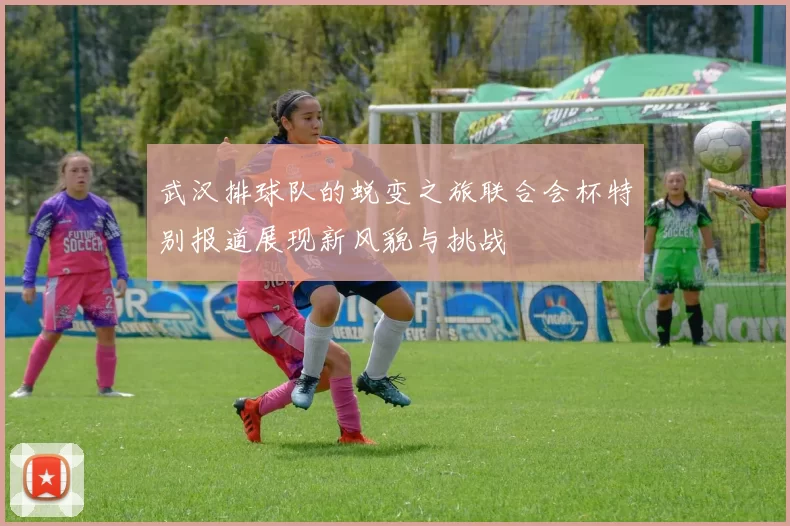 武汉排球队的蜕变之旅联合会杯特别报道展现新风貌与挑战