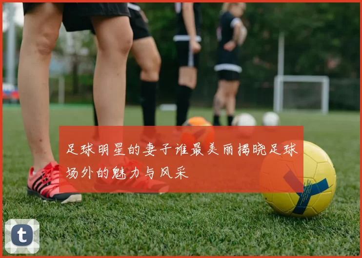 足球明星的妻子谁最美丽揭晓足球场外的魅力与风采