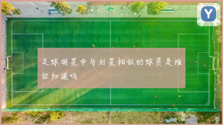 足球明星中与刘星相似的球员是谁你知道吗