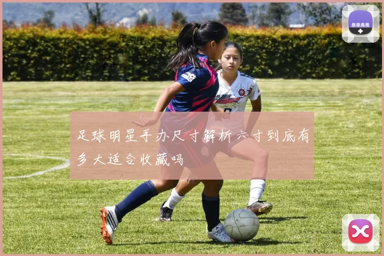 足球明星手办尺寸解析六寸到底有多大适合收藏吗