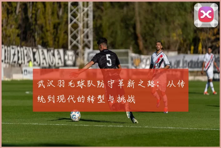 武汉羽毛球队防守革新之路：从传统到现代的转型与挑战
