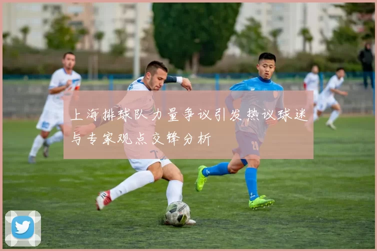 上海排球队力量争议引发热议球迷与专家观点交锋分析