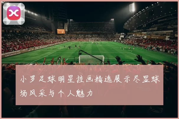 小罗足球明星挂画精选展示尽显球场风采与个人魅力