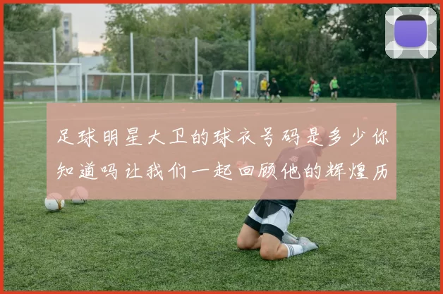 足球明星大卫的球衣号码是多少你知道吗让我们一起回顾他的辉煌历程