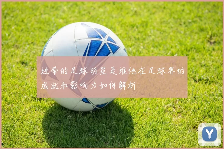 姓蒂的足球明星是谁他在足球界的成就和影响力如何解析