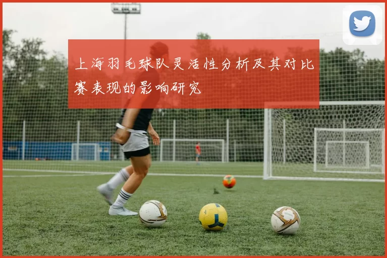 上海羽毛球队灵活性分析及其对比赛表现的影响研究