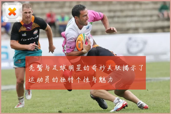 秃鹫与足球明星的奇妙关联揭示了运动员的独特个性与魅力