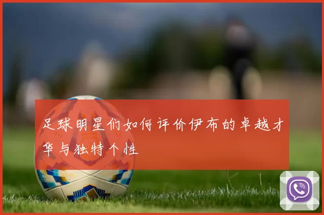 足球明星们如何评价伊布的卓越才华与独特个性