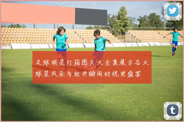 足球明星灯箱图片大全集展示各大球星风采与经典瞬间的视觉盛宴