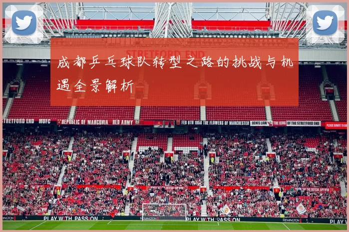 成都乒乓球队转型之路的挑战与机遇全景解析