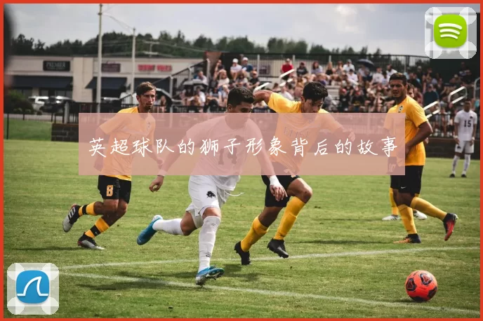 英超球队的狮子形象背后的故事