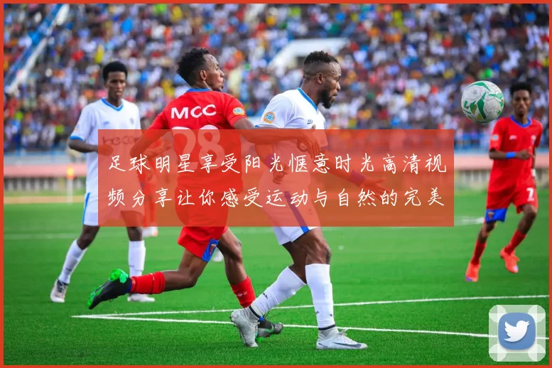 足球明星享受阳光惬意时光高清视频分享让你感受运动与自然的完美结合