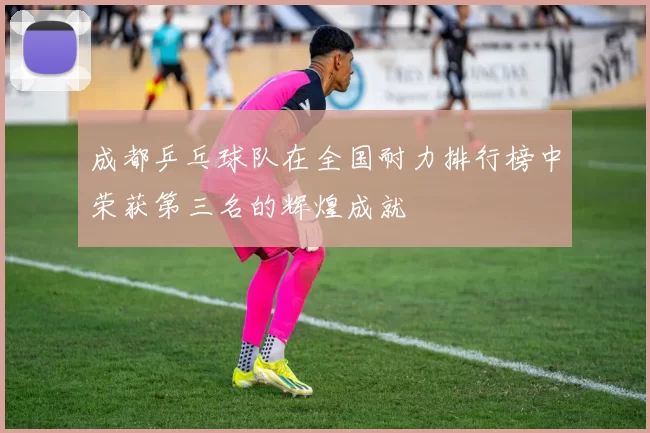 成都乒乓球队在全国耐力排行榜中荣获第三名的辉煌成就