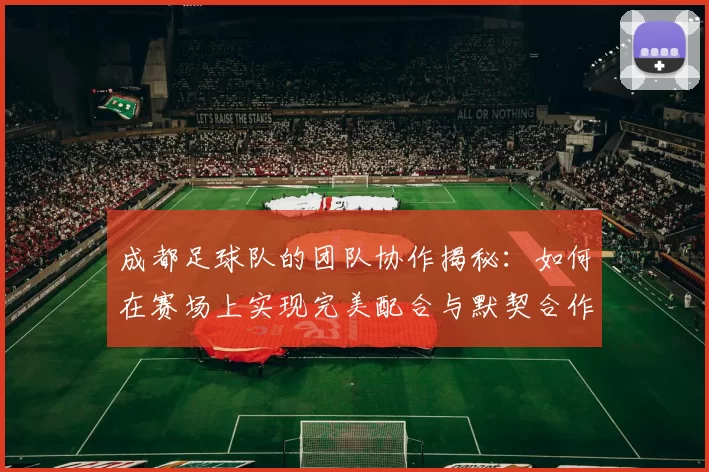 成都足球队的团队协作揭秘：如何在赛场上实现完美配合与默契合作