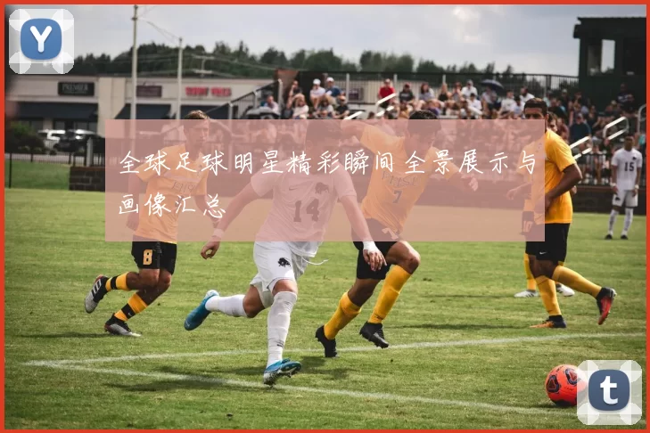 全球足球明星精彩瞬间全景展示与画像汇总