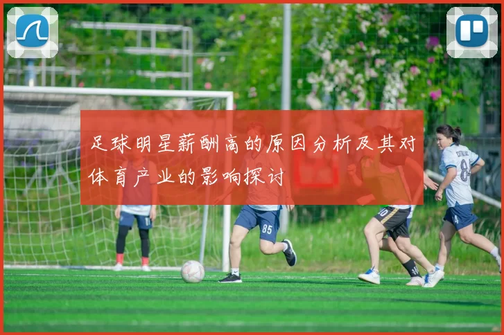 足球明星薪酬高的原因分析及其对体育产业的影响探讨