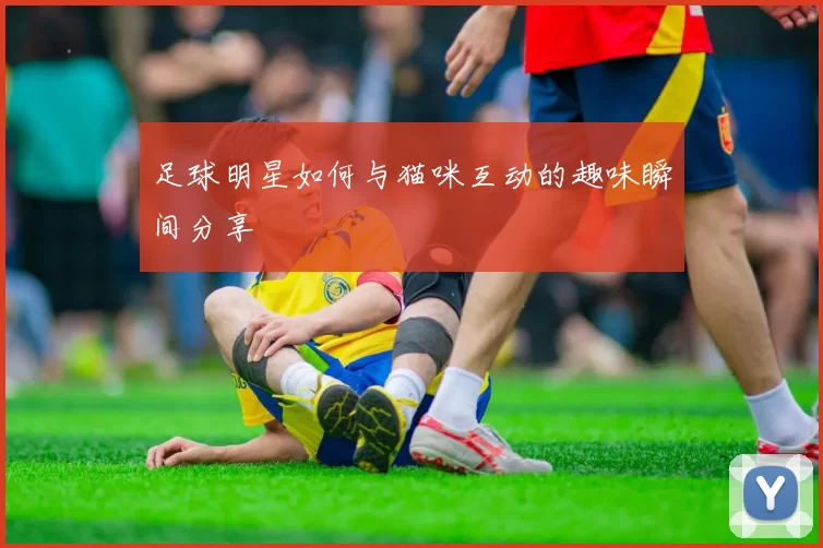 足球明星如何与猫咪互动的趣味瞬间分享
