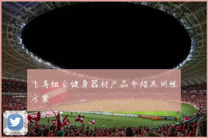 飞鸟组合健身器材产品介绍及训练方案